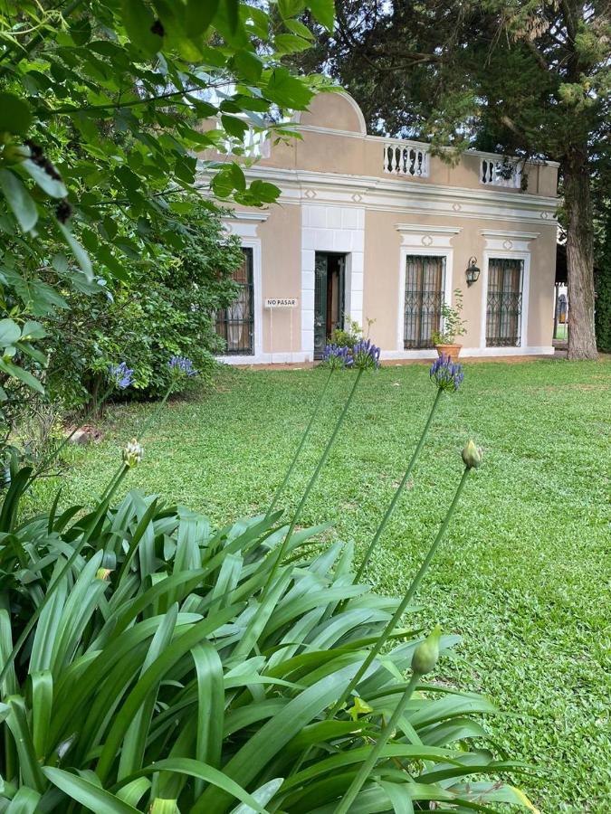 Don Aniceto - De Campo Luján